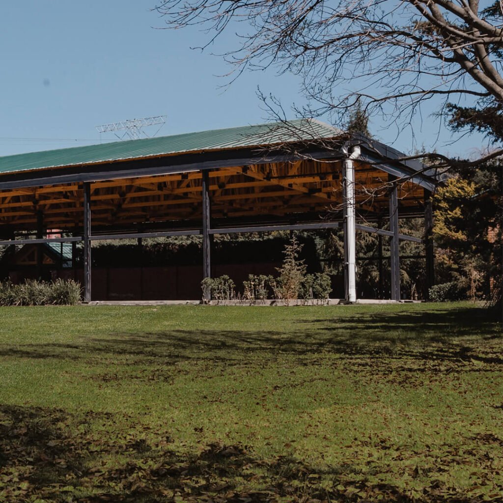 Jardin 11