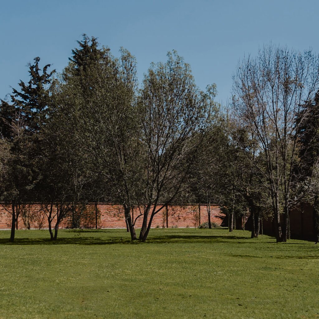 Jardin 14