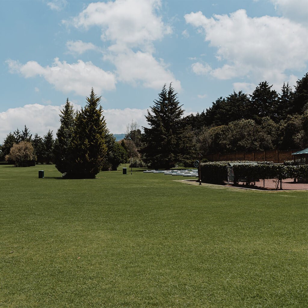 Jardin 19