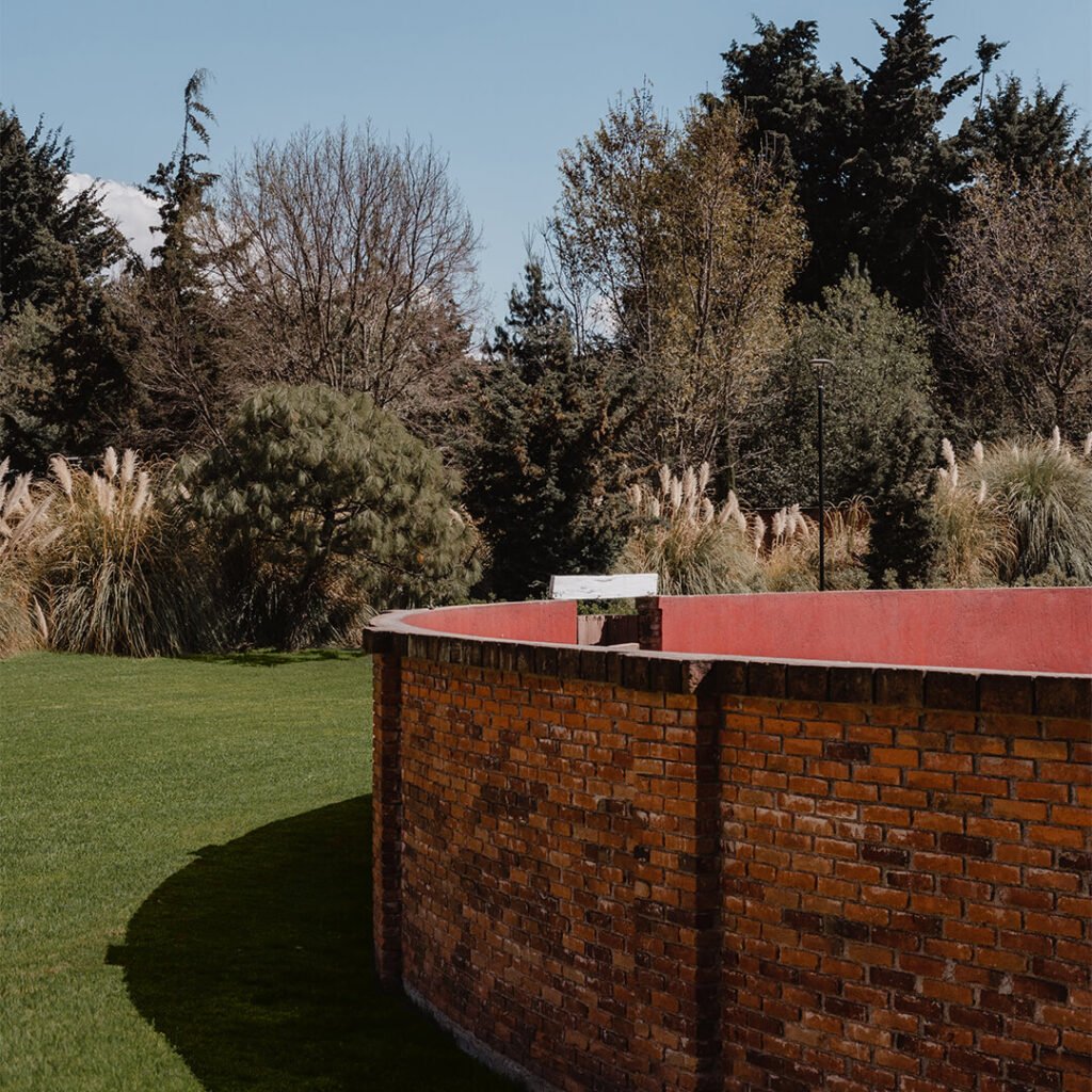 Jardin 3