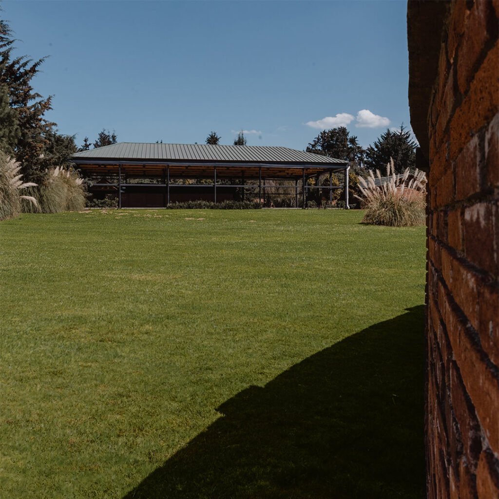 Jardin 6