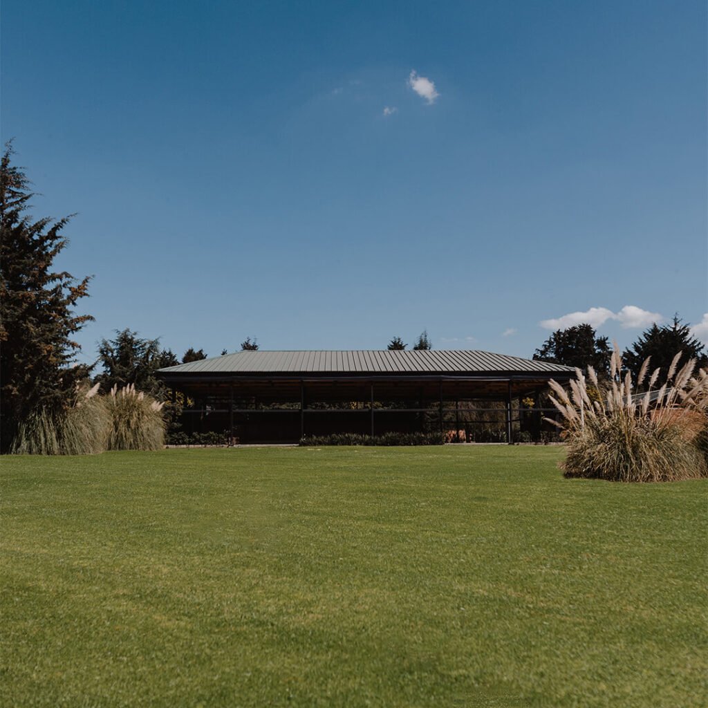 Jardin 7