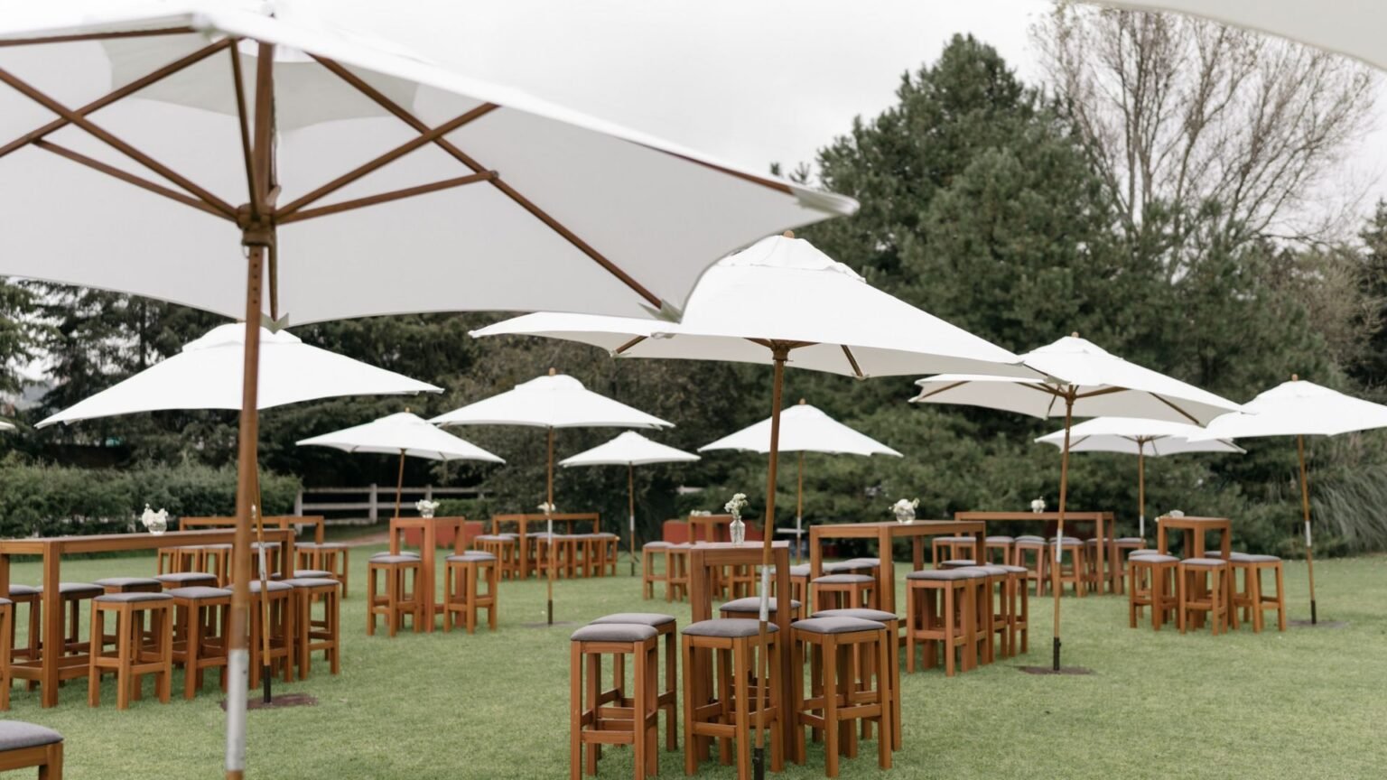 eventos jajalpa 9